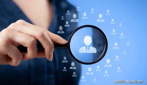 鲨鱼运营爆料怎么做视频,揭秘视频制作背后的技巧与策略  第2张