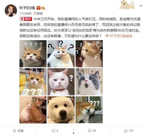 兔子爆料的视频,幕后真相大曝光  第1张