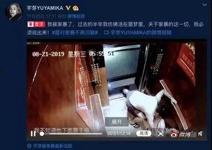 成源家暴爆料视频,家庭暴力事件引发社会关注  第1张